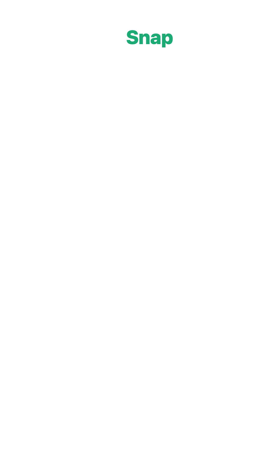 MapSnap